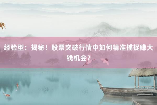 经验型：揭秘！股票突破行情中如何精准捕捉赚大钱机会？
