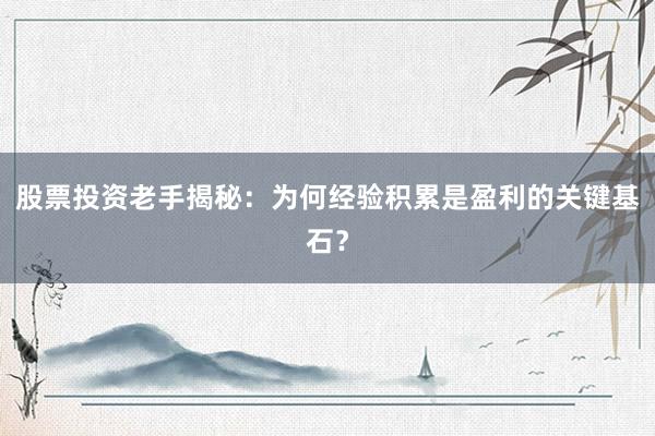 股票投资老手揭秘：为何经验积累是盈利的关键基石？