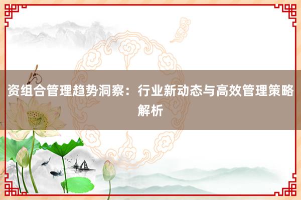 资组合管理趋势洞察：行业新动态与高效管理策略解析