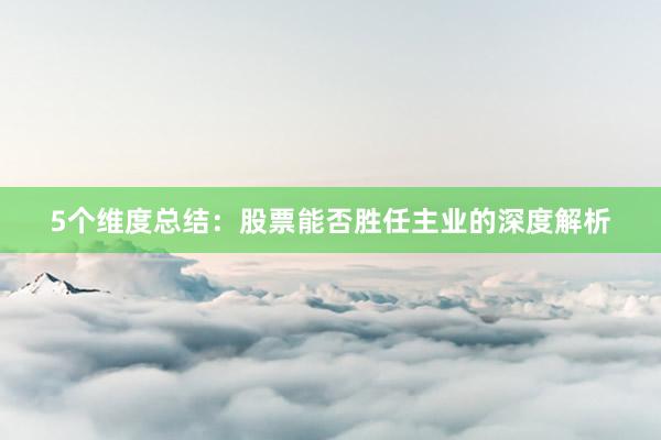 5个维度总结：股票能否胜任主业的深度解析