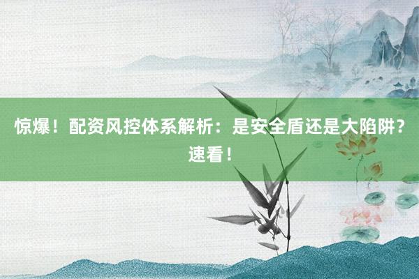 惊爆！配资风控体系解析：是安全盾还是大陷阱？速看！